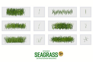 Dynamic Seagrass Brushes