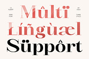 CS Albert – Classic Font, a Serif Font by Craft Supply Co. (Thumbnail 5 of 8)