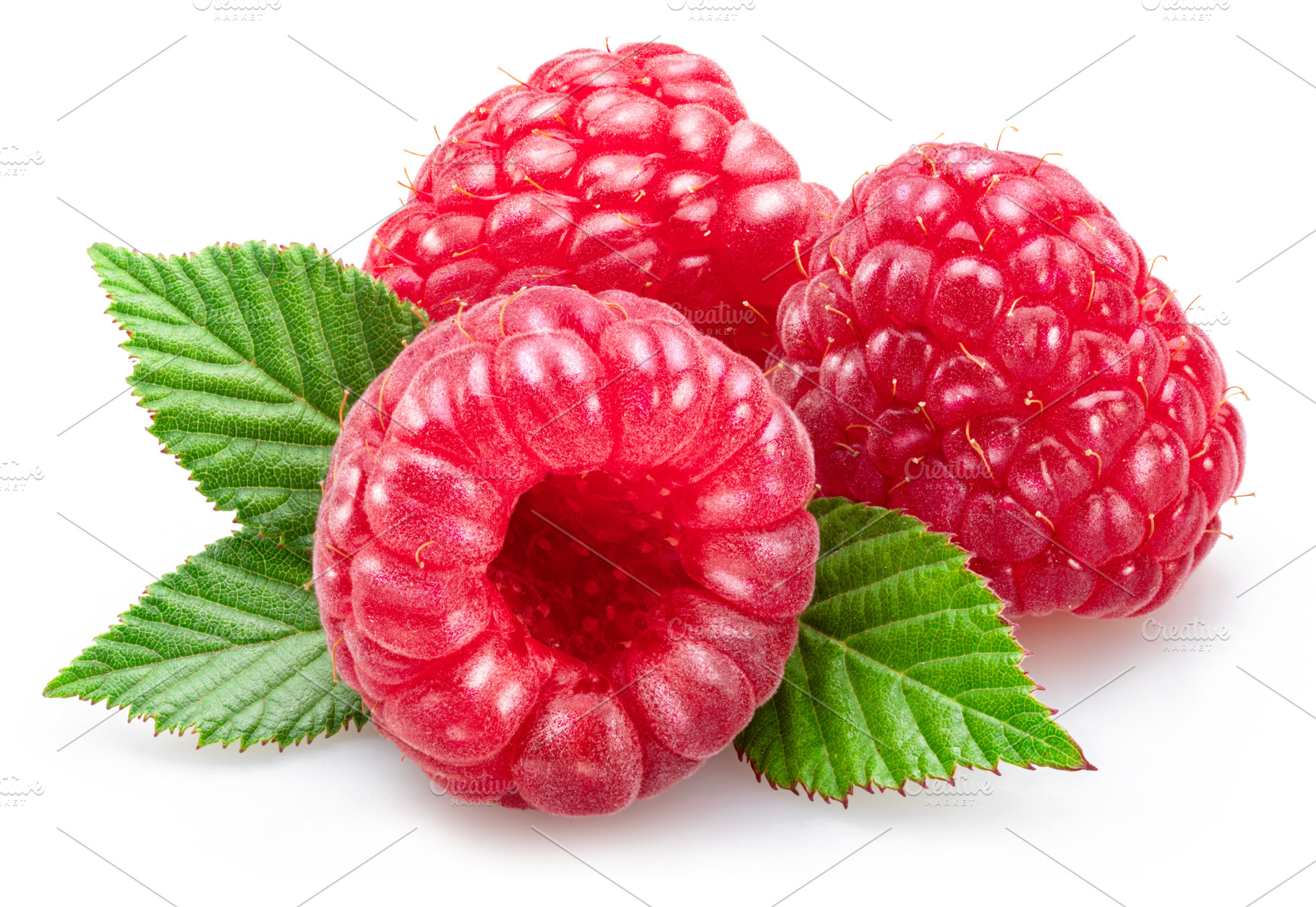Raspberries with raspberry leaves, a Food & Drink Photo by Volff
