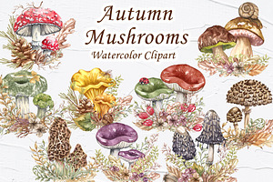 Forest Mushrooms Fall Collection