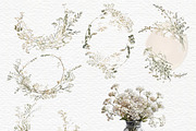 Gypsophila clipart, Baby Breath PNG, a Decorative Illustration by Invite to Clipart (Thumbnail 6 of 7)