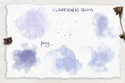Watercolor Sunflowers and Cotton, an Illustration by Yuliya Art (Thumbnail 24 of 24)
