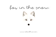fox in the snow
