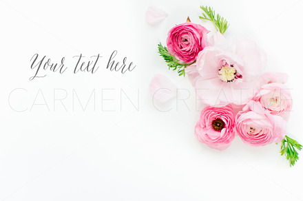 Ranunculus stock photo no4 stock photo containing ranunculus styled stock and