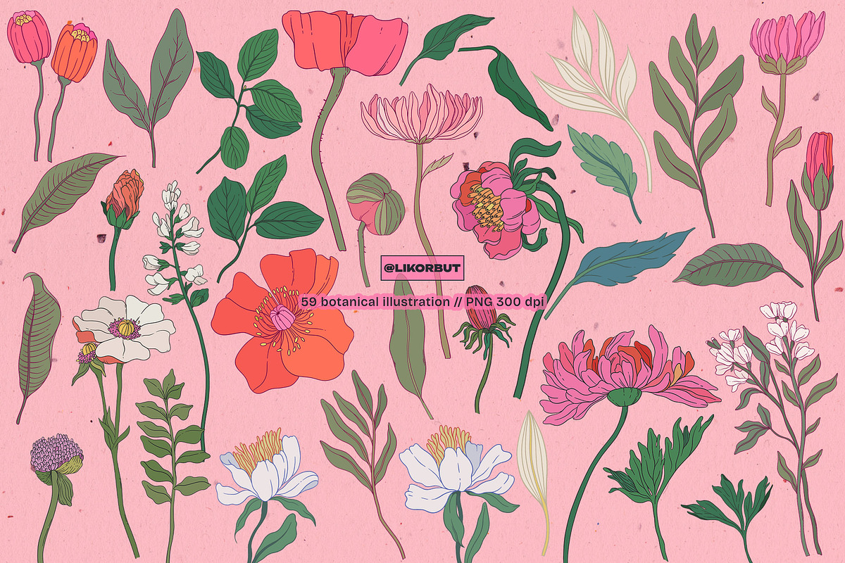 Modern Botanical Floral Illustration, a Decorative Illustration by likorbut (Photo 2 of 9)