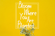 Sonder, a Sans Serif Font by Khal (Thumbnail 3 of 6)