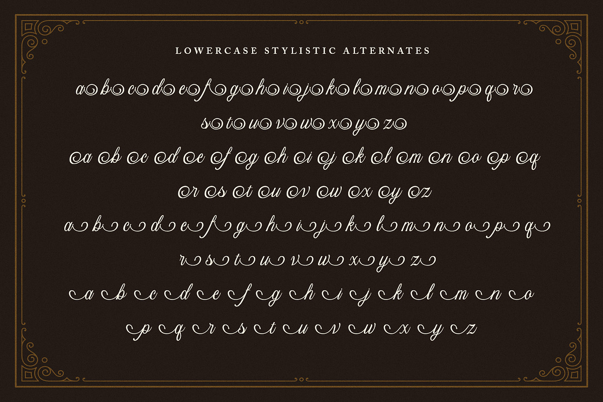 Bristok Lemonade - Cursive Script, a Script Font by Variatype (Photo 12 of 15)