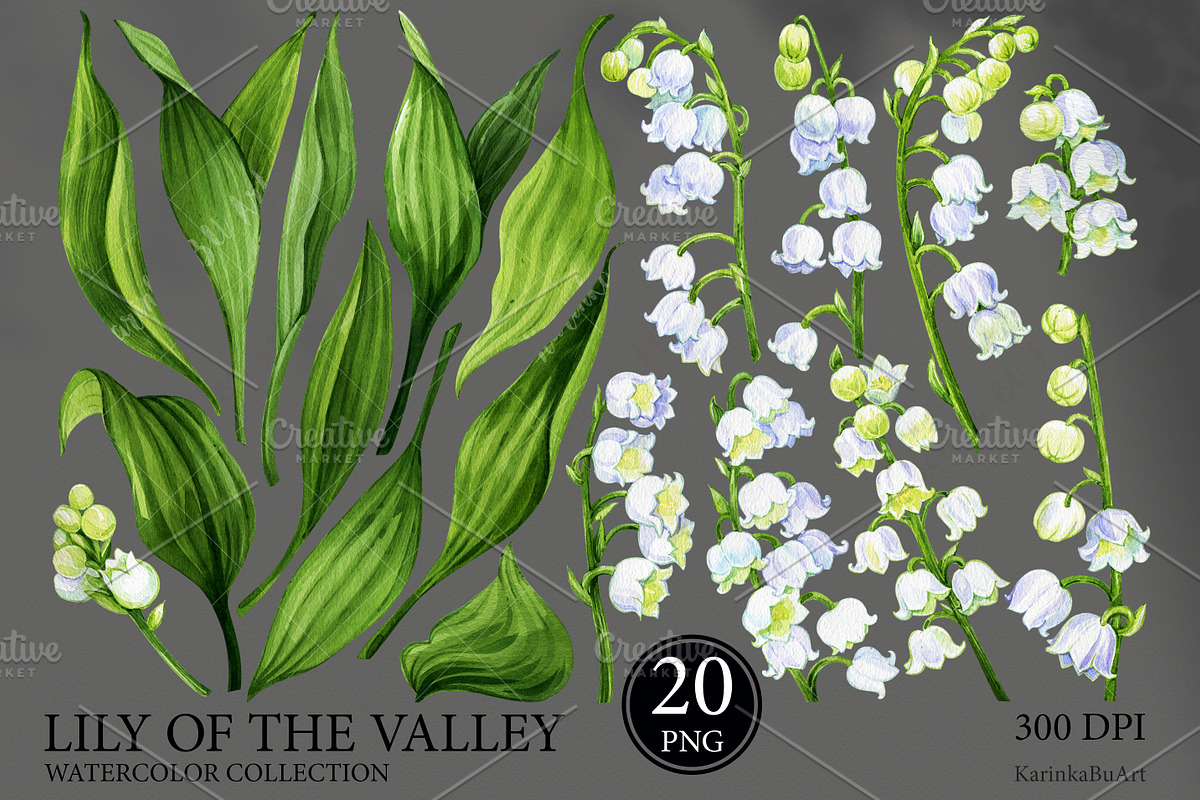 Watercolor flower Lily of the valley, a Decorative Illustration by KarinkaBU (Photo 4 of 5)
