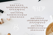 Berold - Artistic Serif Font, a Serif Font by Joko Setiono (Thumbnail 9 of 15)