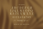 Amsio Elegant Serif Font, a Serif Font by Perfectype (Thumbnail 7 of 8)