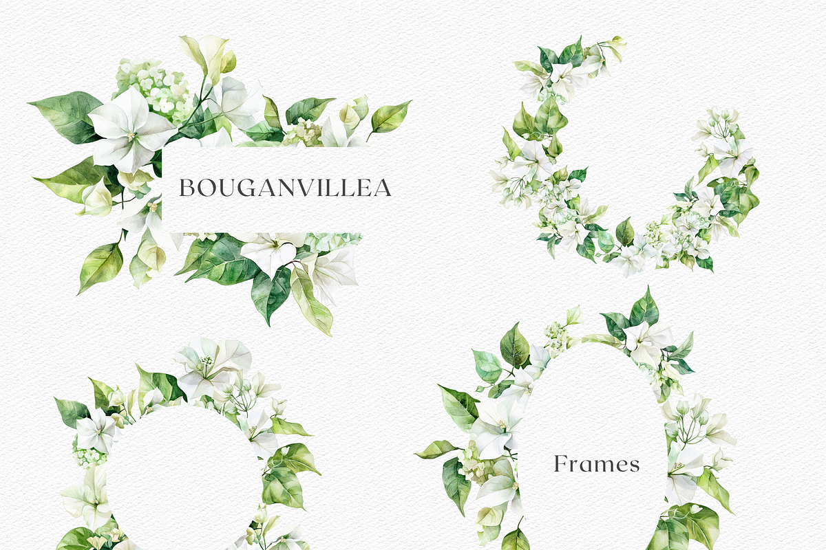 Watercolor Bougainvillea &Hydreangea, a Decorative Illustration by ThaismotaCreativeCo (Photo 7 of 11)