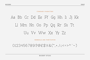 Blissful - Modern Stylish, a Serif Font by RockboyStd (Thumbnail 10 of 12)