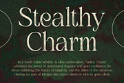 Amadi Vintage, a Serif Font by Craft Supply Co. (Thumbnail 7 of 8)