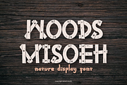 Woods Misoeh - Nature Font, a Sans Serif Font by Iqsiart Studio (Thumbnail 1 of 7)
