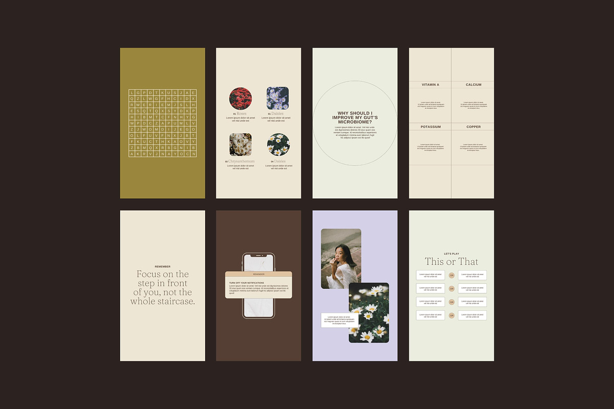 27 Juniper Instagram Story Templates preview 2