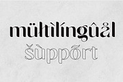 Monea Alegante, a Sans Serif Font by INKSUN™ (Thumbnail 13 of 15)