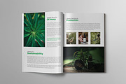 Hemp Product Brochure Template, a Brochure Template by VectStock (Thumbnail 3 of 7)