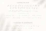 Sophiscated - A Lovely Script Font, a Script Font by Craft Supply Co. (Thumbnail 8 of 10)