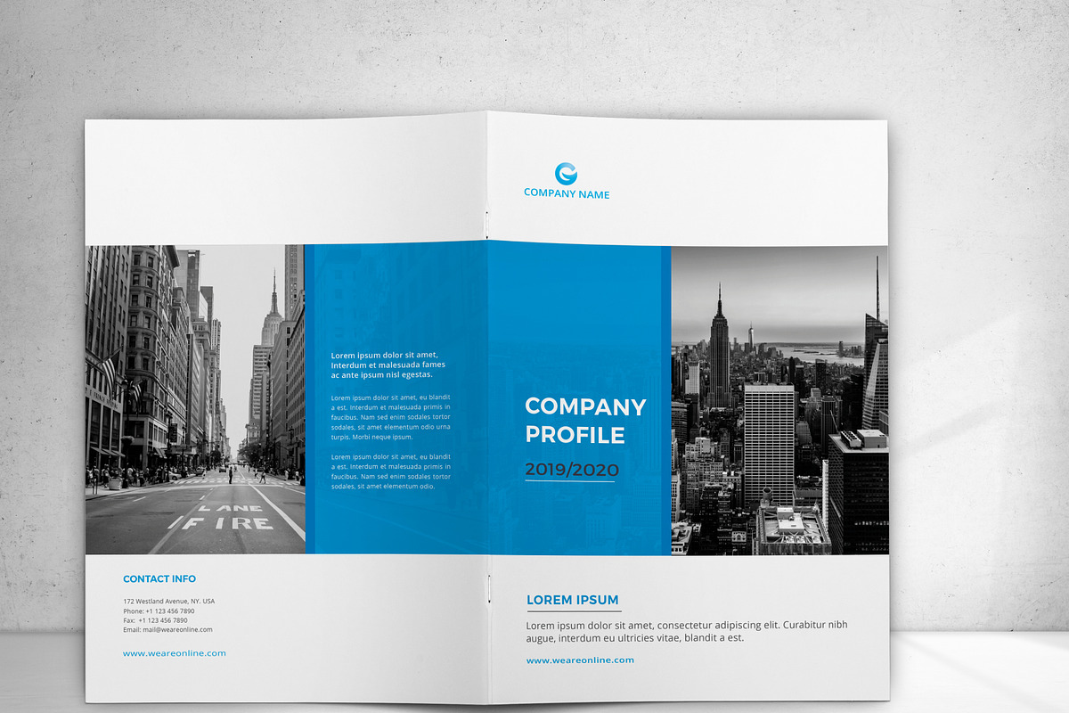 Company Profile, a Brochure Template by design_pick (Photo 14 of 17)