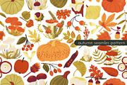 HELLO AUTUMN: clipart|border|pattern, a Seasonal Illustration by Elliko shop (Thumbnail 10 of 12)