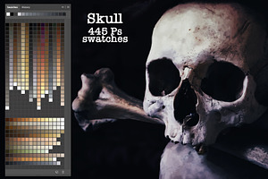 Skull Swatches