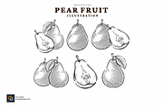Vintage Hand Drawn Pear Illustration, a Food Illustration by putra_purwanto (Thumbnail 3 of 3)