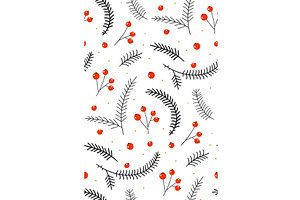 Red berries with fir branches on a