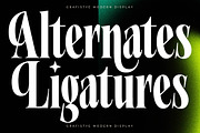 Grafistye Modern Display Serif Font, a Serif Font by timelesstype.co (Thumbnail 10 of 20)