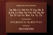Berlian Quines || Vintage Serif Font, a Serif Font by Idea Studio (Thumbnail 4 of 5)