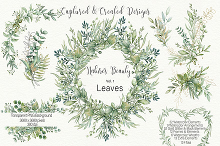 Natures Beauty - Leaves 124