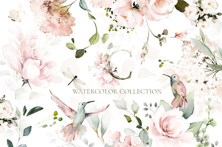 Pink watercolor flowers & herbs, an Illustration by Lisima