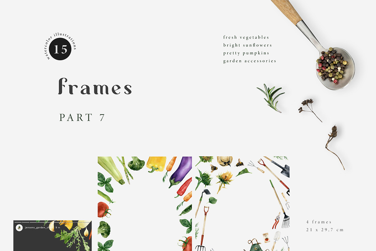 Garden aesthetics collection, a Food Illustration by Diana Askarova Art (Photo 12 of 15)