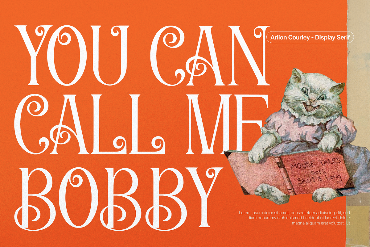 Arloyn Courley | Modern Serif, a Serif Font by Denustudios (Photo 2 of 11)