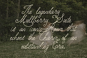 Handwritten Elegant Serif & Script, a Handwritten Font by Laras Wonderland (Thumbnail 4 of 12)