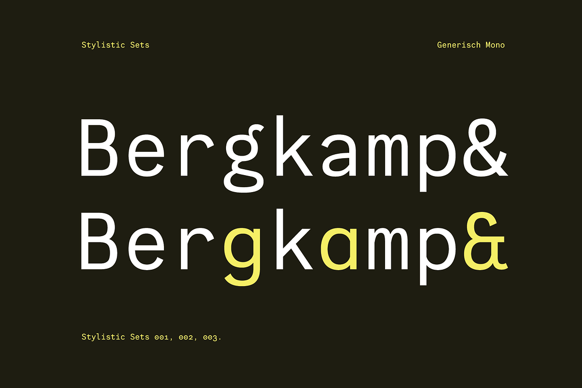 Generisch Mono, a Sans Serif Font by Holdon Type (Photo 9 of 10)