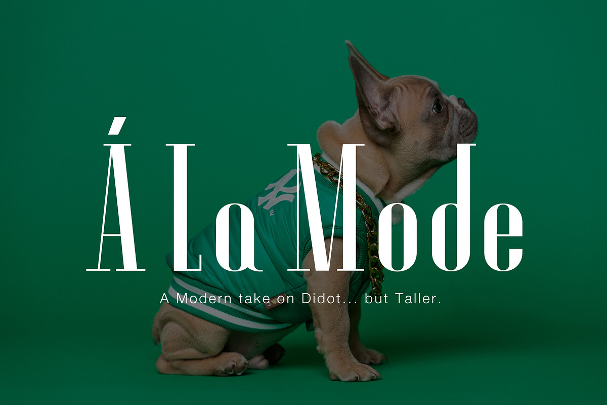 A La Mode, a Font by Loudoun Design Co. (Photo 1 of 5)
