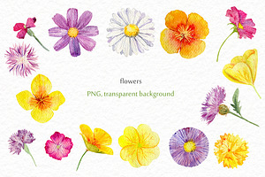 Wild Flowers Watercolor Set