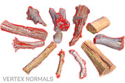 13 Tree Logs, an Environmental 3D Model by Beatheart Creative Studio (Thumbnail 12 of 37)