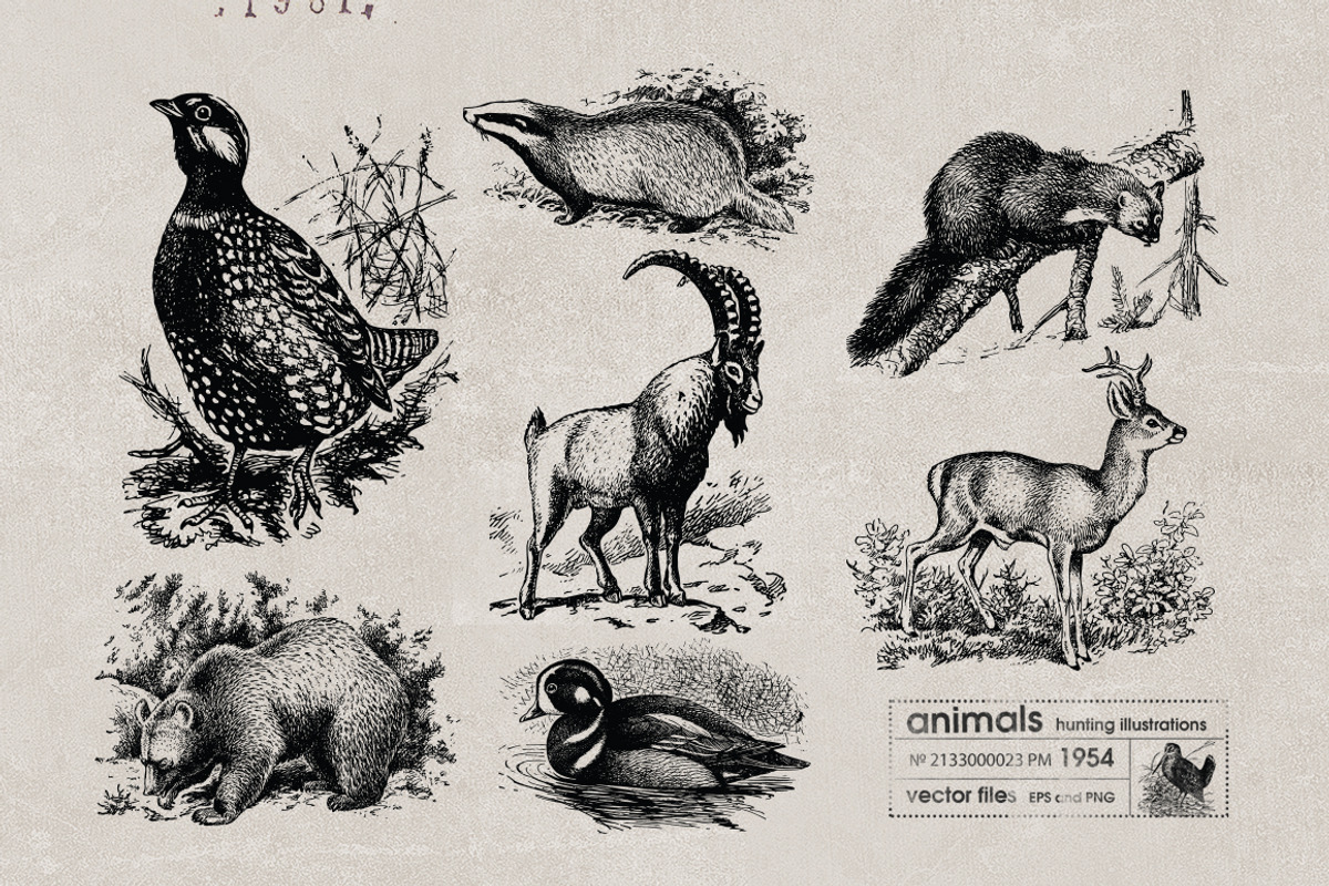 Vintage Bundle 2500+ Free Update, an Animal Illustration by Retro Machine (Photo 165 of 170)
