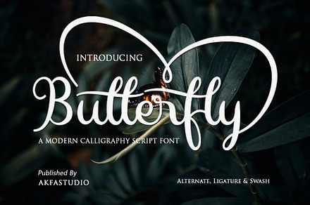 Butterfly Font - Swash Style