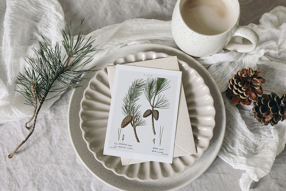 Elegant Christmas mockups & photos, a Household Mockup by Tabita's shop (Photo 3 of 10)