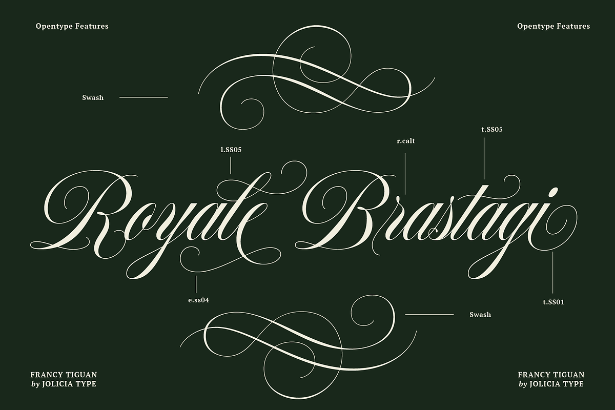 Francy Tiguan | Classy Script Font, a Script Font by Jolicia Type (Photo 3 of 12)