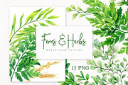 Ferns. Watercolor Botanical Clipart, an Object Graphic by JSolomatina (Thumbnail 1 of 3)
