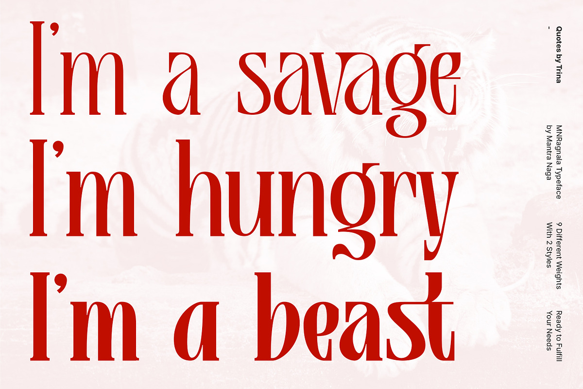 MNRagnala, a Serif Font by Mantra Naga (Photo 4 of 16)