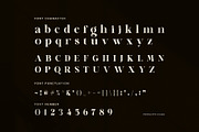 Melfin Modern Serif Font, a Serif Font by Perfectype (Thumbnail 7 of 8)