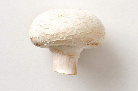 Mushroom detail on white table, a Food & Drink Photo by Davizro's Market