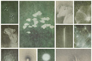 Otherwhere - Ethereal Backgrounds, a Background Graphic by alonahaidash (Thumbnail 10 of 17)