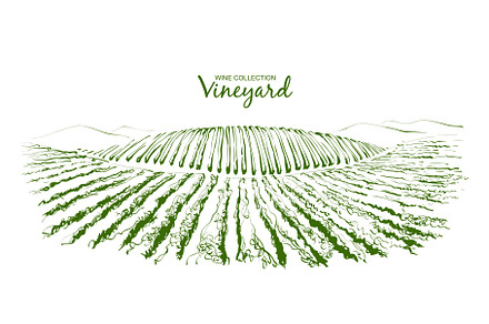 Vector Vine plantation hills, an Illustration by Alltruecolours