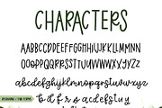 Eucalyptus Spearmint Monoline Script, a Script Font by Jordyn Alison Designs (Thumbnail 8 of 8)