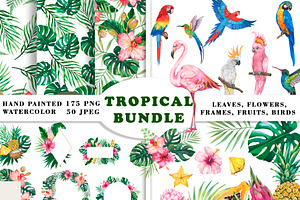 Watercolor Tropical BIG BUNDLE PNG